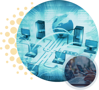 Network Design & Management Lead in